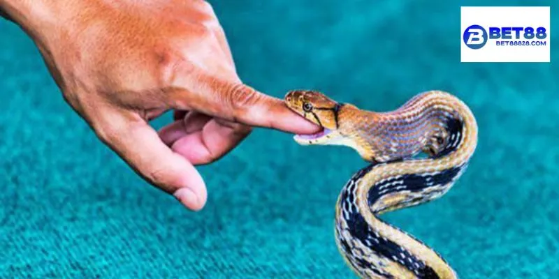 Các giấc mơ có ý nghĩa hình ảnh khác nhau