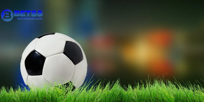 Hội viên cần hiểu rõ cách chơi từng loại kèo trước khi cược tiền